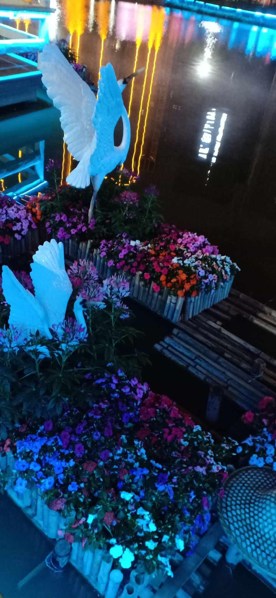 虫虫助手下载